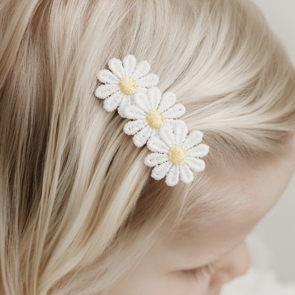 Lovely Daisy - alligator