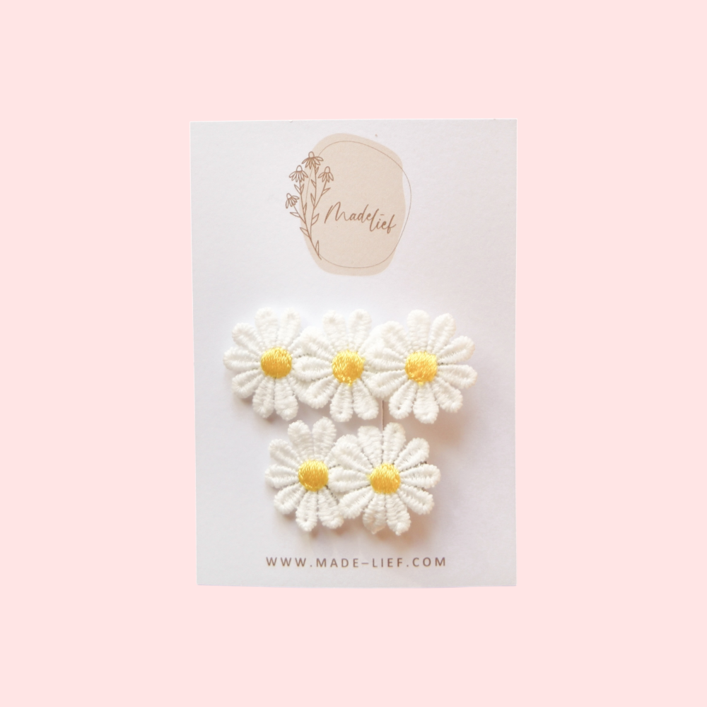 Lovely Daisy - alligator